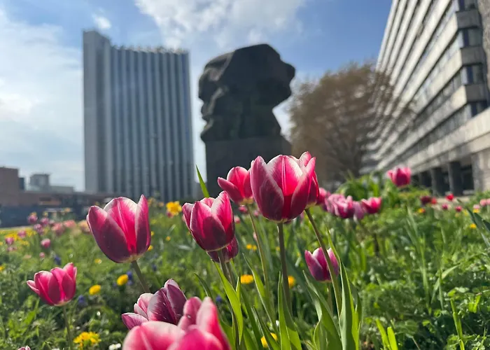 In 4 Eg In Altchemnitz * Chemnitz